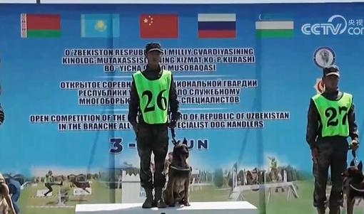  电竞裁判严格执法保障赛事公平